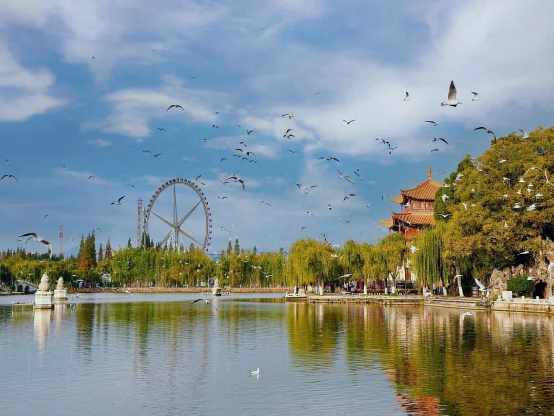 CÔN MINH CÓ ĐẸP NHƯ LỜI ĐỒN