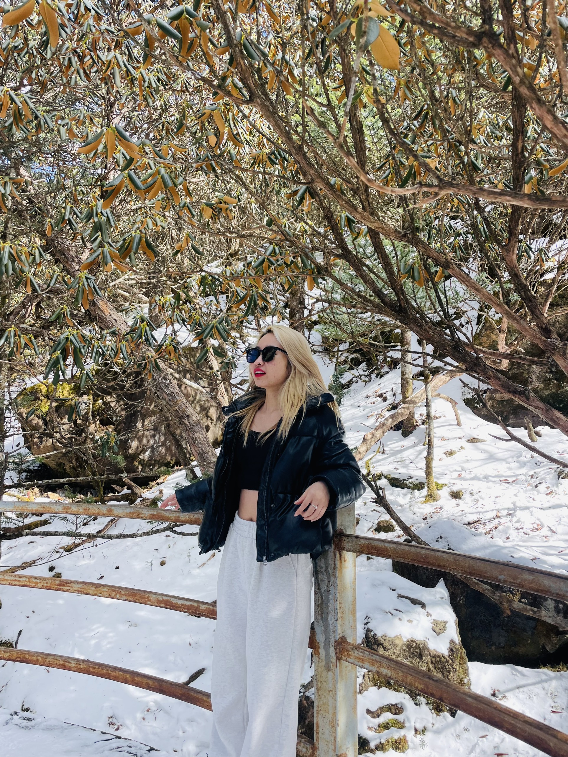 Vẻ đẹp của Núi Tuyết Kiệu Tử Côn Minh